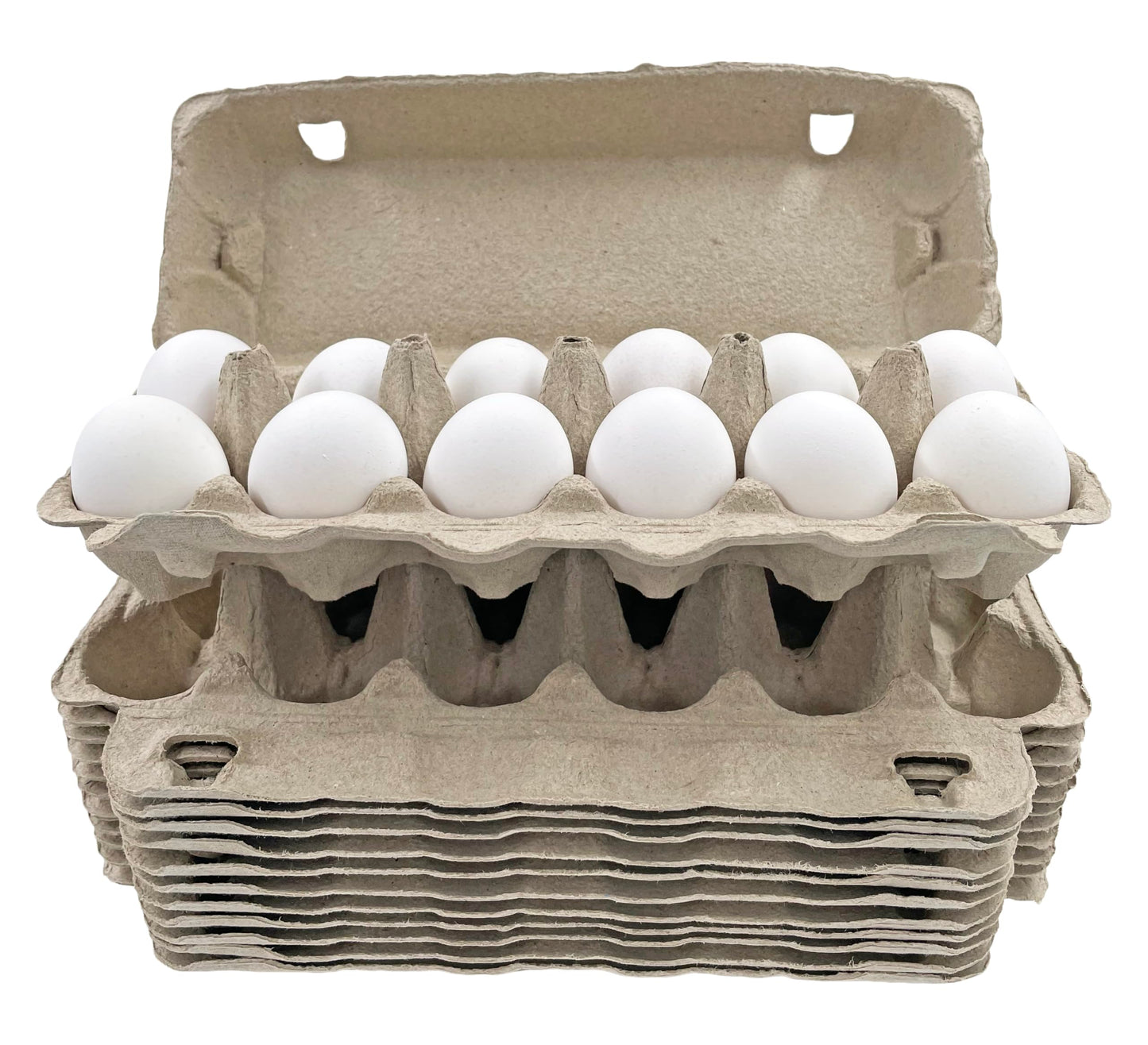 Egg Carton | Natural Pulp by Dasher's Spice & Beans | Holds One Dozen Eggs | Arts & Crafts Paint Holder | Pack of 12