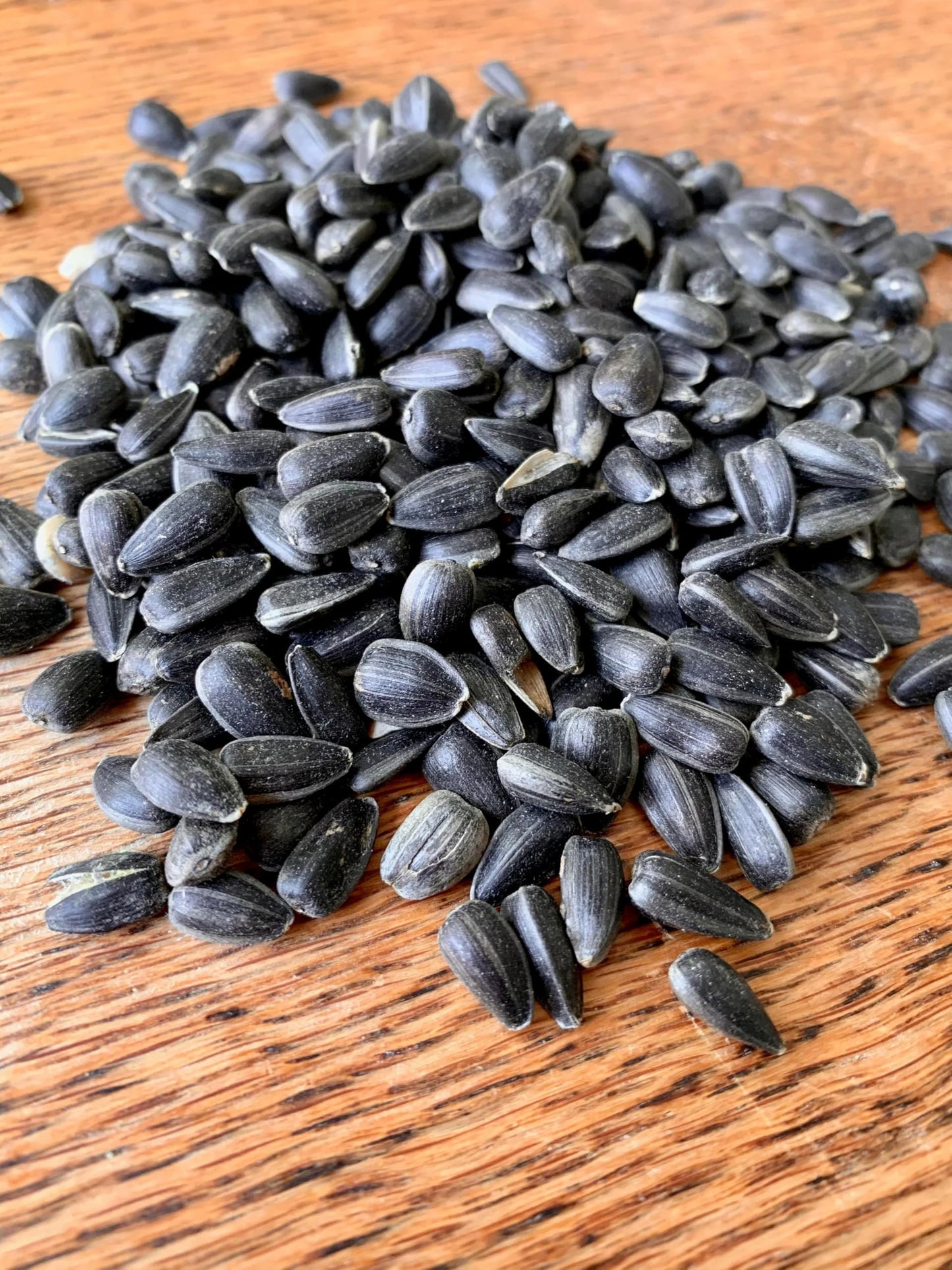 Bits N Things Wild Bird Food | Made in USA & All Season | (4 lbs., Black Oil Sunflower Seed)