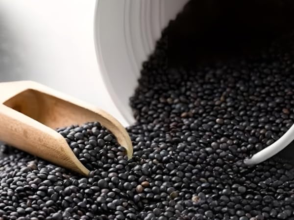 Dasher's Spice & Beans | Beans & Lentils