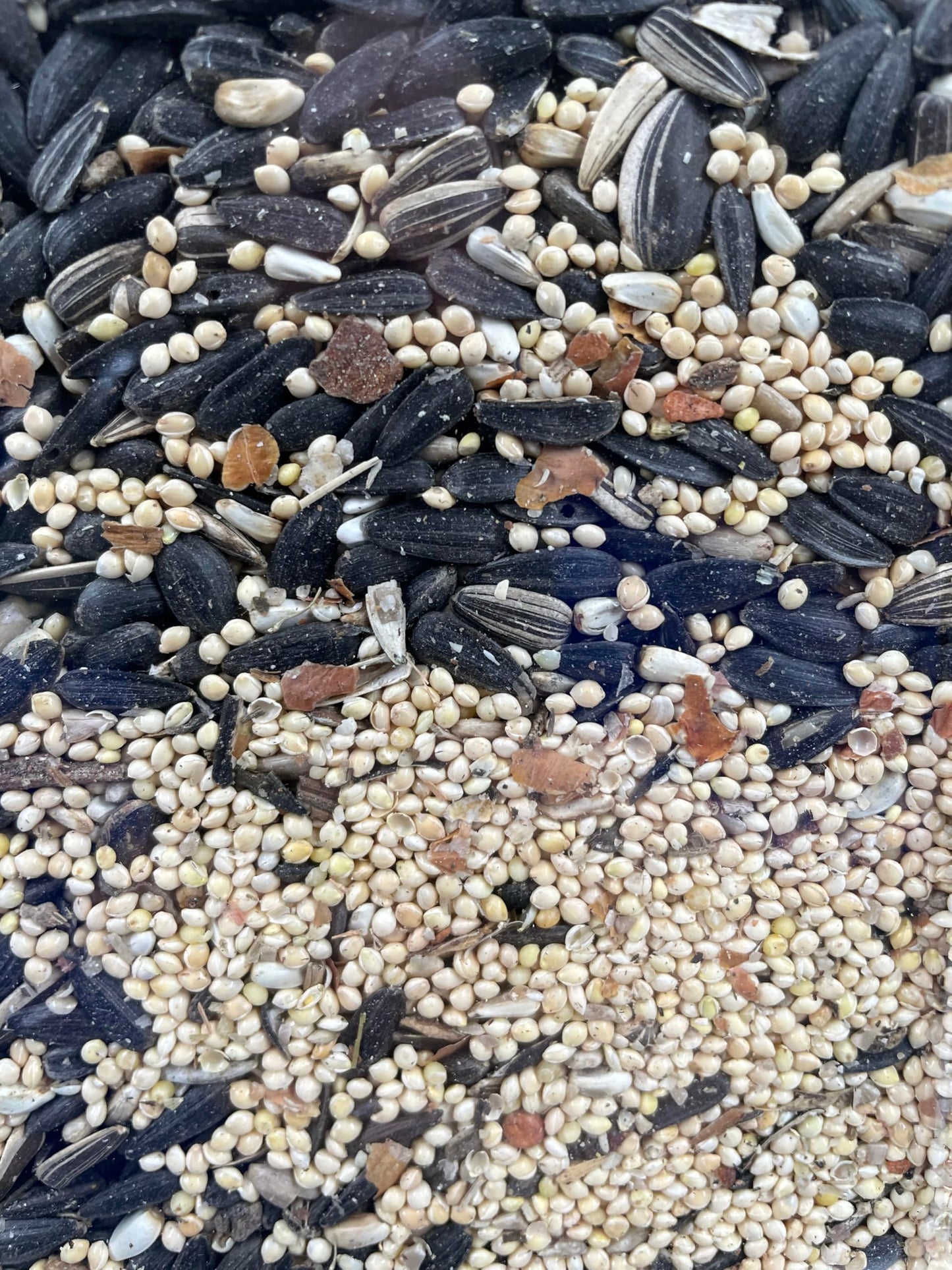 Bits N Things Wild Bird Food | Made in USA & All Season | (5.5 lbs., Fruit and Nut Mix)