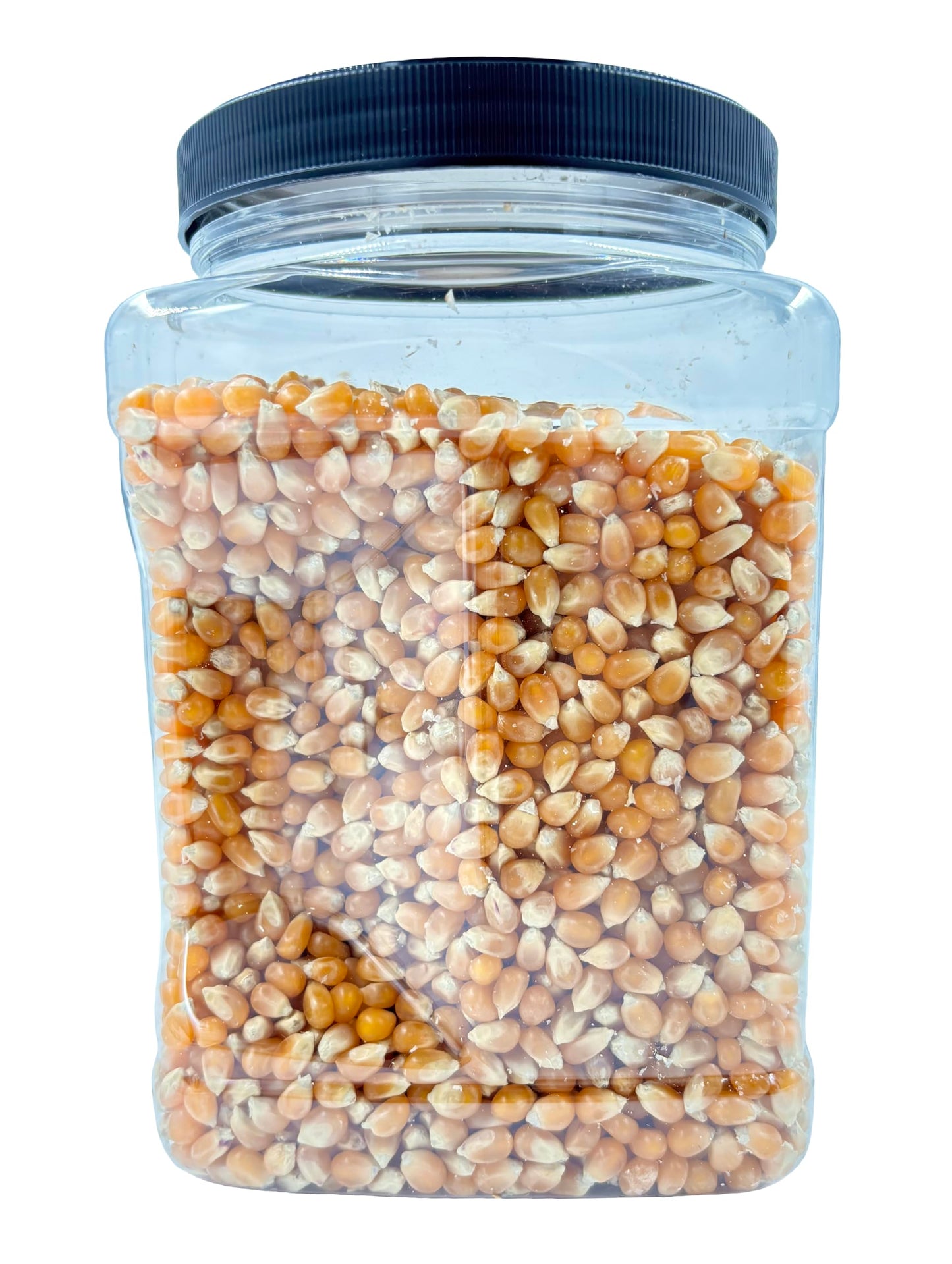 Popcorn Kernels by Dasher's Spice & Beans | Non-GMO |