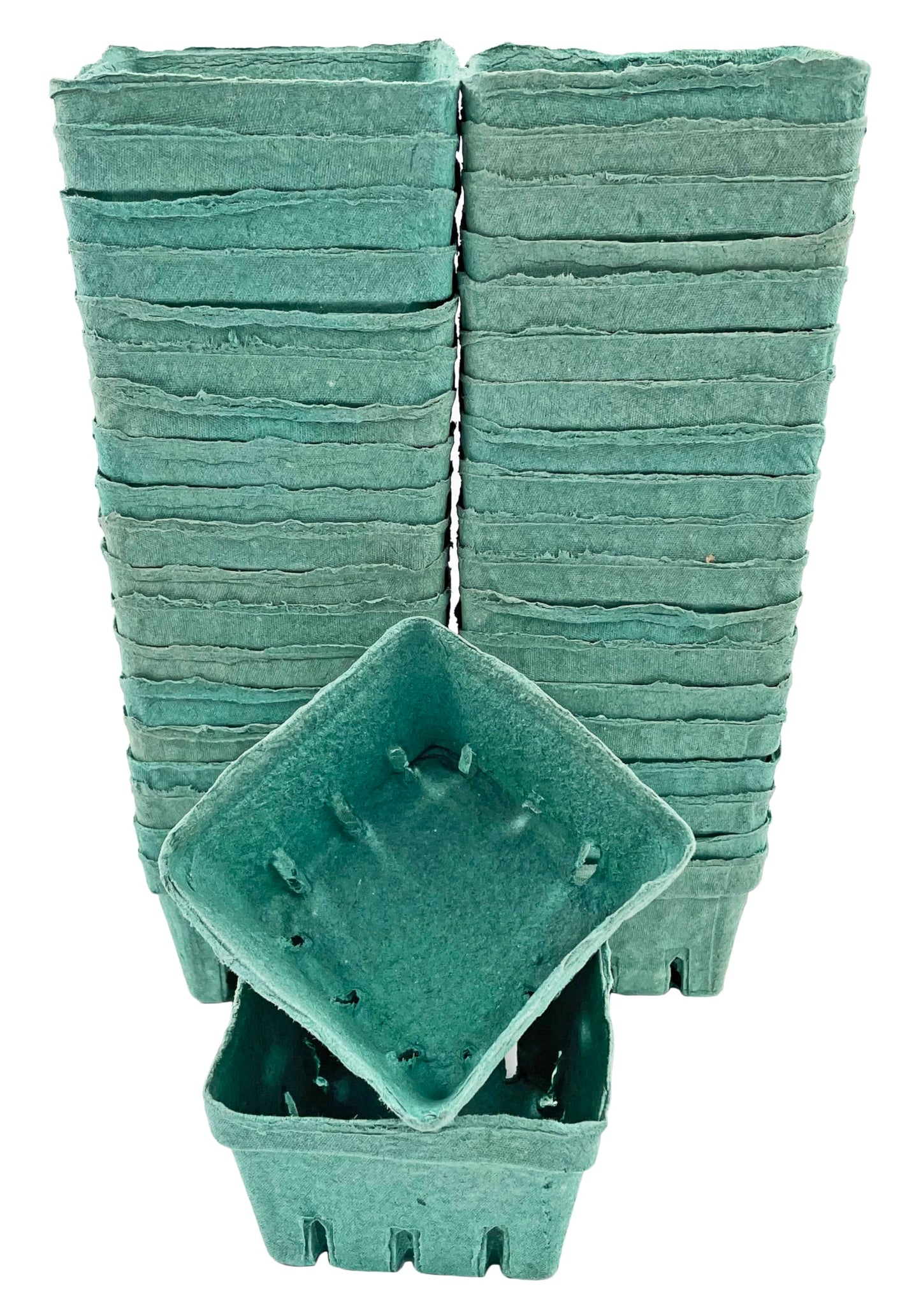 Bits N Things [40 Pack Pint Green Molded Pulp Fiber Berry Basket Produce Vented Container for Fruit and Vegetable