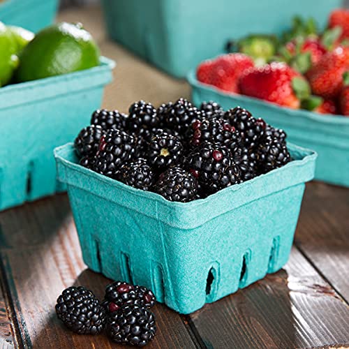 Bits N Things [40 Pack Pint Green Molded Pulp Fiber Berry Basket Produce Vented Container for Fruit and Vegetable