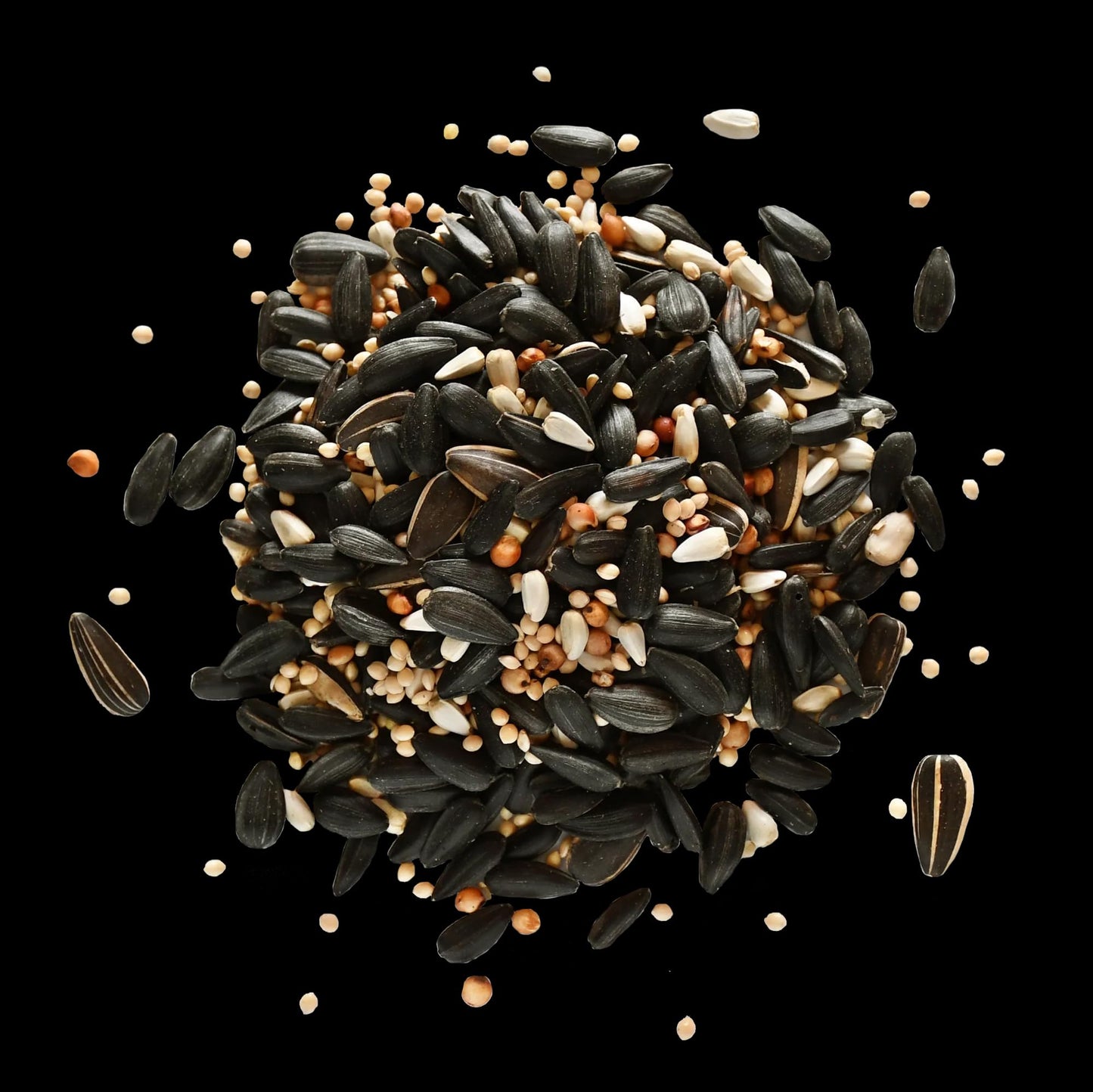 Bits N Things Wild Bird Food | Made in USA & All Season | (5.5 lbs., Fruit and Nut Mix)