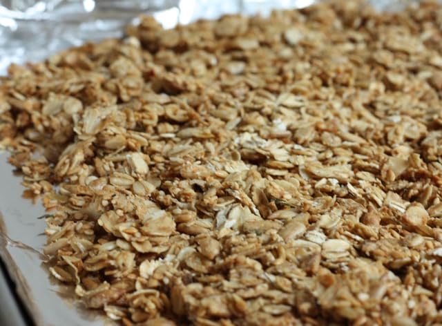 Granola Crisp By Dasher's Spice & Beans | Yogurt & Cereal Enhancer, Dessert Topping | Bulk 10 LB